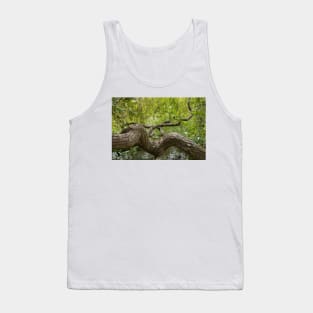 gnarled branches Tank Top